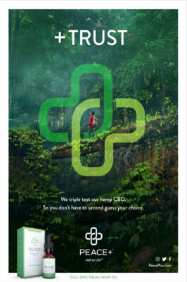A person walking in a lush forest with a green cross symbol, promoting hemp CBD products.