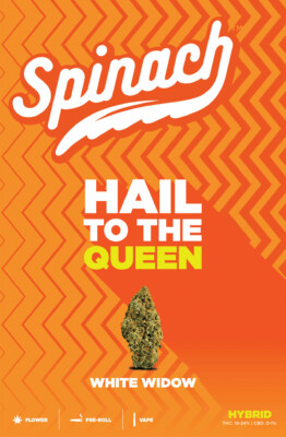 Bright orange background with "Spinach" logo, "Hail to the Queen," and a cannabis bud labeled "White Widow.