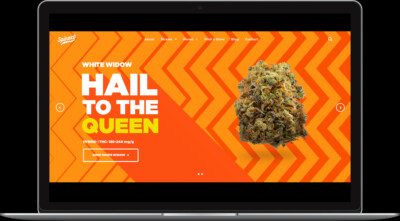 Website design featuring "White Widow" cannabis strain on a vibrant orange background with promotional text.