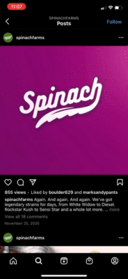 White cursive text "Spinach" on a vibrant purple background with social media engagement details below.